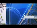 EBRSO raid seize thousands worth of drugs in Baton Rouge facilities Rapides Parish Sheriff s Offic