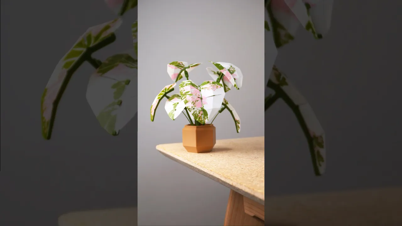 Low Poly Plant - Elephant Ear video thumbnail