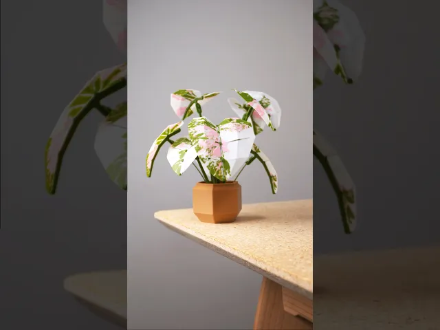 Low Poly Plant - Elephant Ear video thumbnail