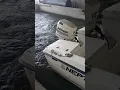 Johnson 150hp V6 outboard