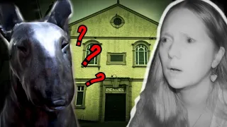 The CURSED Dog Statue: Is There a Dark Presence Within?