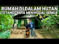 Download Lagu VIRAL..! RUMAH DI DALAM HUTAN TETANGGANYA MENINGGAL SEMUA LAGI VIRAL DI CILACAP JAWA TENGAH
