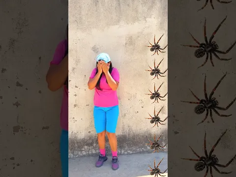 Caindo insetos e aranhas