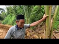 Download Lagu NGANTERIN MAKAN KE TEMPAT YANG KERJA 