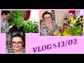 Lagu VLOG#12/02/26☕NIE CHCĘ KIMANIA / OGARNIAM KWIATY I ROBIĘ SADZONKI /MAM BĄBELKI/