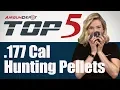 Top 5 177 Caliber Hunting Pellets