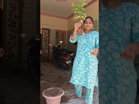 🥰வாழ்க்கையில் ஒரு மரமாவது நட்டு வையுங்கள்🥰