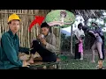 Download Lagu Poisonous Snakes and the Secret of Human Trafficking Conspiracy Tieu Huyen and De's Journey to Save?