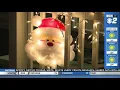 Caldwell Grinch Steals Christmas Lights