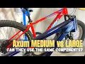 2021 - 2023 Schwinn Axum Medium vs Large Frame