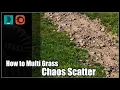 Multi Grass with Chaos Scatter 3D Max Corona Rendering
