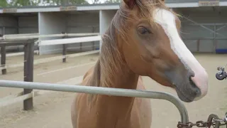 209 Wulkuraka Connection Rd Karrabin QLD 4306 Australia