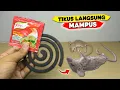 Download Lagu Ternyata cukup pake ini TIKUS langsung MAMPUS !!!