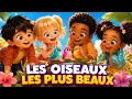 Les Oiseaux les Plus Beaux Comptine Dansante pour Enfants