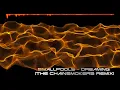 Smallpools - Dreaming (The Chainsmokers Remix) (Visualized)