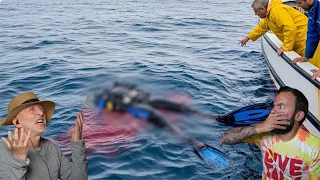 Divers React to Diver Decapitated by Great White Shark