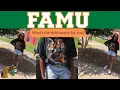 WHAT S THE RIGHT MAJOR FOR YOU FAMU