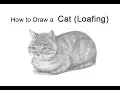 How to Draw a Cat Loaf Position