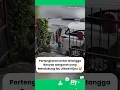 PERTENGAKARAN RAS TERKUAT 😂