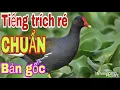 Tiếng trích chuẩn. Đánh 2 cổng ra 2 vế âm thanh khác nhau. Chuẩn lưới đêm. Lh zalo 0705294624