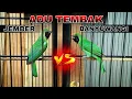 Download Lagu ADU TEMBAK || CUCAK IJO GACOR TARUNG FULL TEMBAKAN KASAR