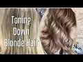 Toning Down Blonde Hair MUSHROOM BROWN Tone