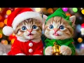 Lagu Jingle Bells with Adorable Kittens! 🎄 A Festive Music Video