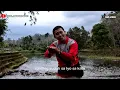 Download Lagu LAGU DAERAH JAMBI IBO \