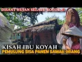 Download Lagu MIRIS❗❗TINGGAL DI RUMAH BOLONG-BOLONG SEORANG IBU PEMULUNG SISA PANEN SAWAH ORANG