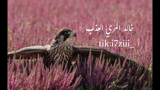 يابري حالي    خالد المري العذب   بدون إيقاع   دندنها