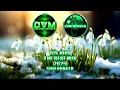 Lagu Djs Vibe - The Beat Mix 2025 (Sunlounger)