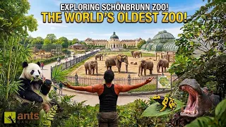 Exploring the Oldest Zoo in the World | Inspiration for My Own Zoo