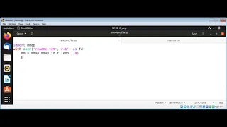 Python Random File Access Using mmap