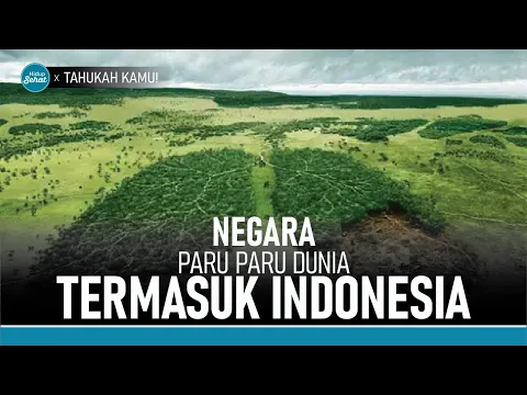 3 Negara yang Menjadi Paru-Paru Dunia, Indonesia Salah Satunya