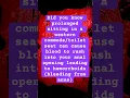 How to stop? What causes Anal bleeding? How to prevent blood from the anus?
