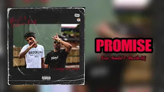 phenox u0026 unknownbeatz ft aimful u0026 musiholiq promise official audio 