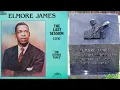 Elmore James  -  I Gotta Go Now   / Last Session  1963