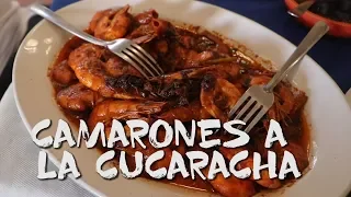 Trying cockroach shrimp in Nayarit