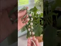 Acrylic Bookmark With Cricut