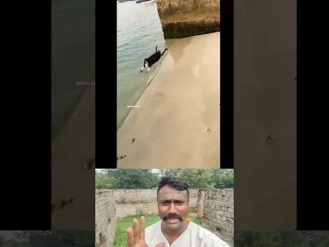 Zanzibar #trending #shorts #viralvideo #shortvideo # #funny #lifeisbutadream #comedy #fun #ytshorts