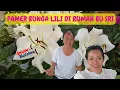 Download Lagu MENILIK TANAMAN DAN BUNGA BU SRI DI ROOFTOPNYA : ADA APA AJA?