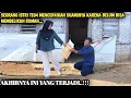 Download Lagu SEORANG ISTRI T3G4 MENCERAIKAN SUAMINYA KARENA BELUM BISA MEMBELIKAN RUMAH, AKHIRNYA INI YG TERJADI!