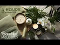 Download Lagu Spa Music Relaxation No Ads, Relaxing Music for Stress Relief, Zen Music