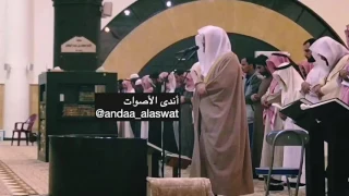  يا أيها الناس أنتم الفقراء إلى الله   تلاوة رائعة للقارئ الشيخ د  ياسر الدوسري دندنها