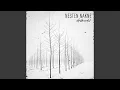 Download Lagu Nesten nakne