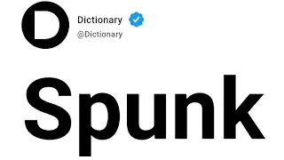 Spunk Meaning In English