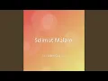 Download Lagu Selimut Malam