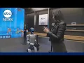In China artificial intelligence isn t the future It s already here