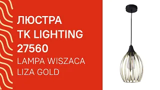 YouTube video preview TXGnasiTMz4