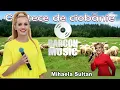 Download Lagu Mihaela Sultan - Frunzulita firul ierbii sus, sus, sus la furca Cernii LIVE - Melodie ciobanie